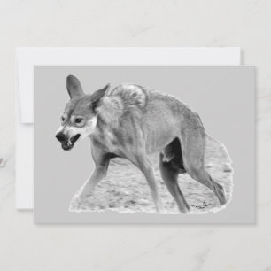 Snarl för Timber Varg