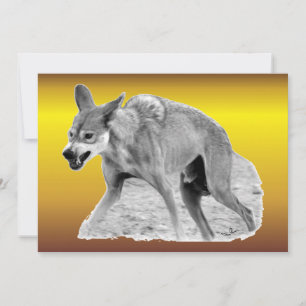 Snarl för Timber Varg