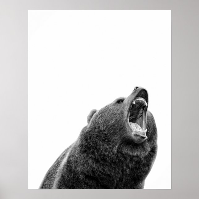 Snarling Grizzly Bear Black White modern Poster (Framsidan)