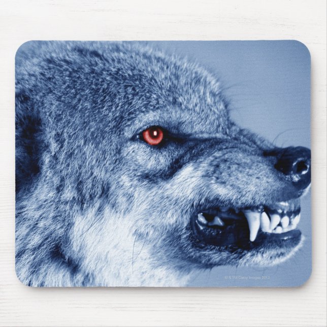 Snarling varg (Canis Lupus), profil (Digital Digit Musmatta (Framsidan)