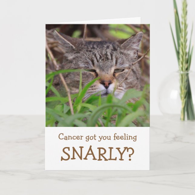 Snarly Cat Funny Cancer Foleting Card Kort (Framsida)