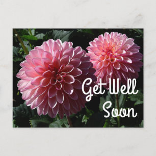 Snart Bättre Dahlia Valley Porcupine #1 Vykort