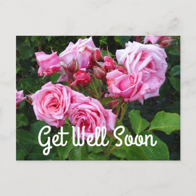 Snart Bättre Gene Boerner Rose #3 vykort (Framsida)