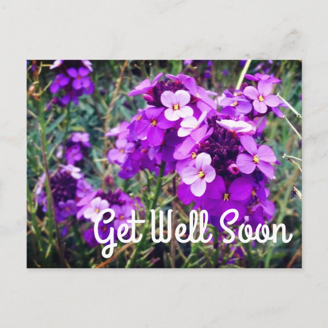 Snart Bättre Väggblomma Bowles Mauve #1 Postkort Vykort (Framsida)