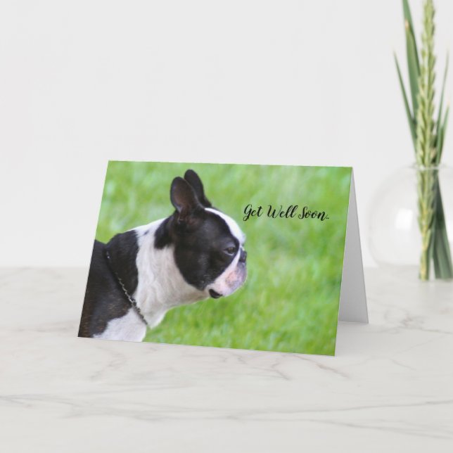 Snart frisk Boston Terrier märkning kort (Framsida)