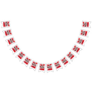 Snart Frisk Bunting Banner Vimplar