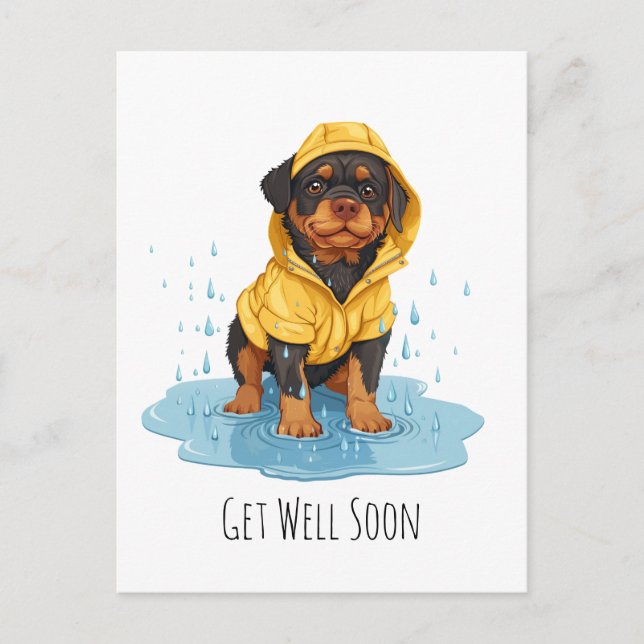 Snart frisk Rottweiler hund som bär regnrock Vykort (Framsida)