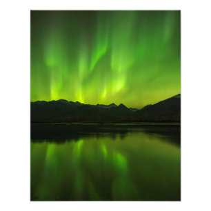 Snärta aurora fototryck