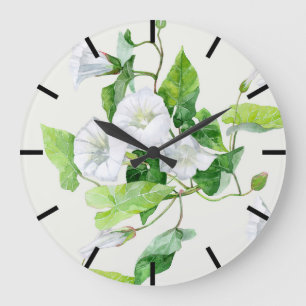 Snårvinda vit blomma stor klocka