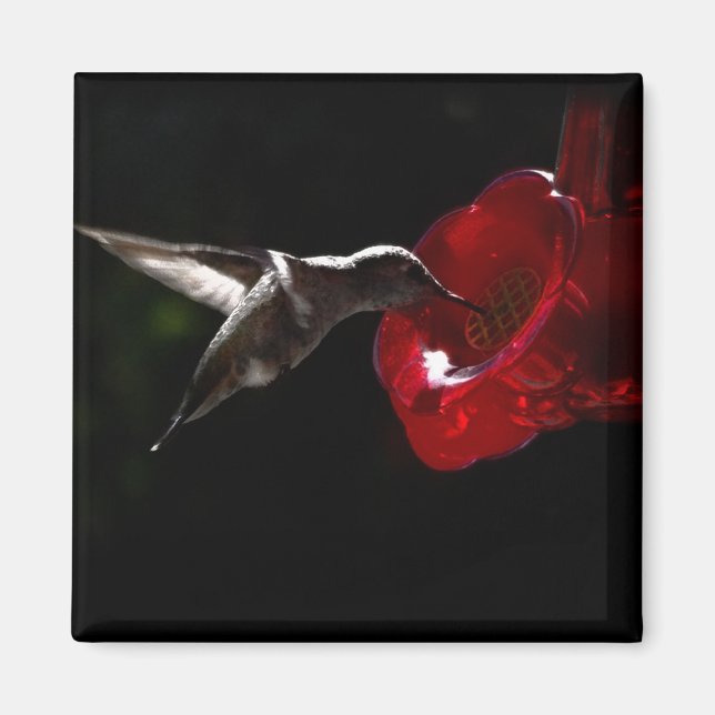 Snäva en Midnight Snack Magnet (Framsidan)