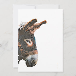 Sneak Peek - Donkey Inbjudningar