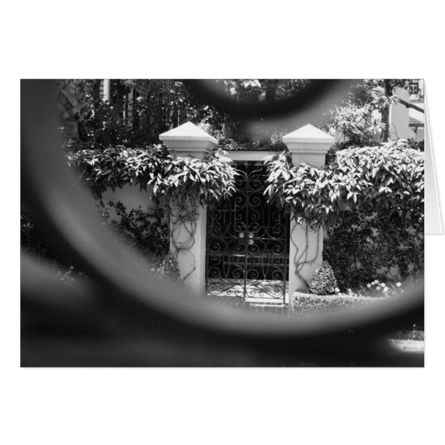 Sneak-topp Hälsningskort (Framsidan Horizontal)