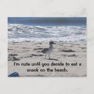 Sneaky Bird på stranden Vykort
