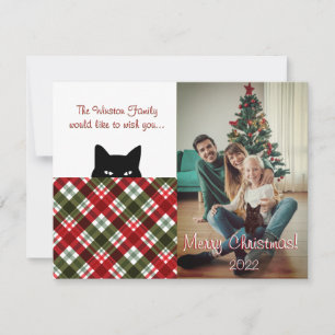 Sneaky Cat Royal Stewart Tartan Plade jul Anteckningskort