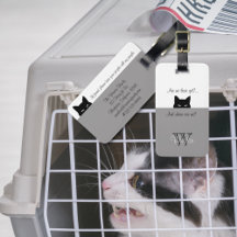 Sneaky Cat, var är vi Grått Pet Carrier-Märkrn?