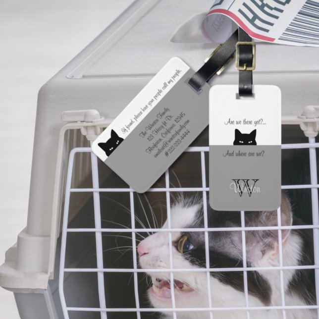 Sneaky Cat, var är vi Grått Pet Carrier-Märkrn? Bagagebricka (Skapare uppladdad)