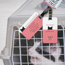Sneaky Cat Var är vi Rosa Pet Carrier Märkre?