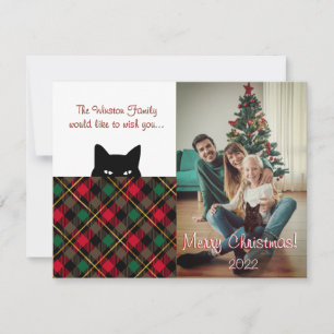 Sneaky Cat Wallace Röd Plaid Julkort Anteckningskort
