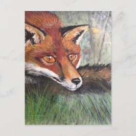 Sneaky Fox Vykort