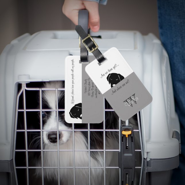 Sneaky Hund Var är vi Grått Pet Carrier-Märkrn? Bagagebricka (Skapare uppladdad)