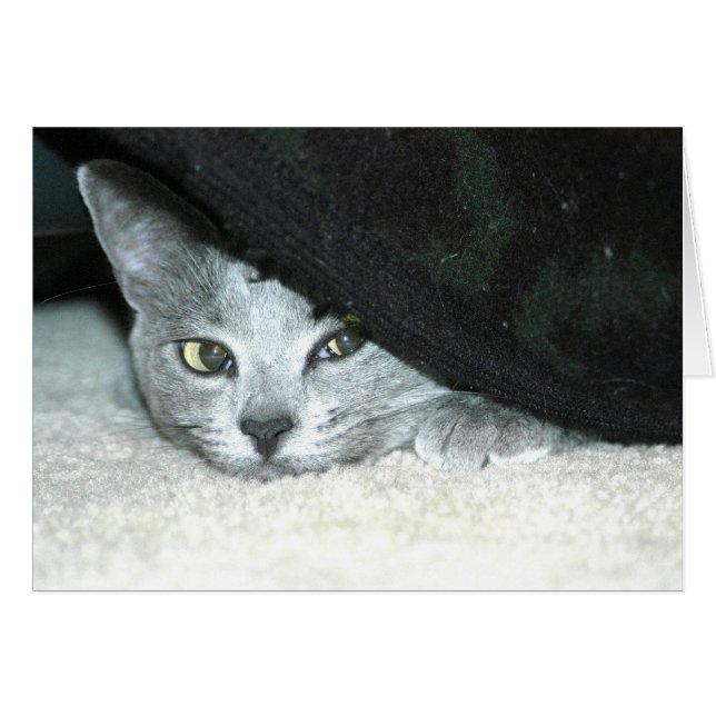 Sneaky Karma Hälsningskort (Framsidan Horizontal)