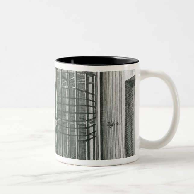 Snedvrida silketrådar, illustration Encylopedia Två-Tonad Mugg (Höger)