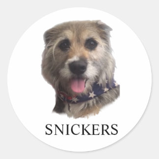 SNICKERS STICKER RUNT KLISTERMÄRKE