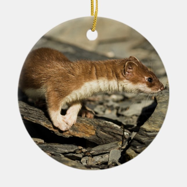 Sniffing Weasel Julgransprydnad Keramik (Framsidan)