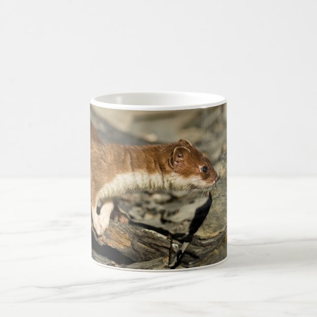 Sniffing Weasel Kaffemugg (Center)