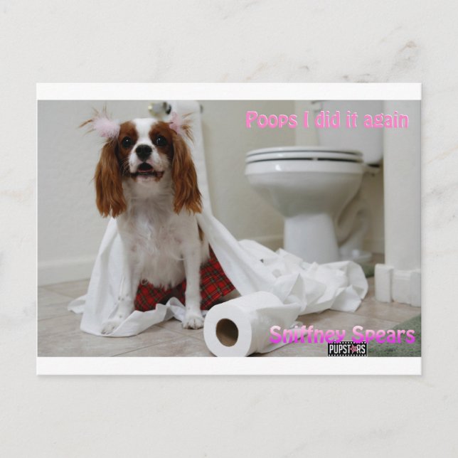 Snifney Spears vykort (Framsida)