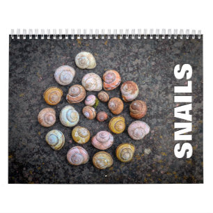 Snigel 2022-väggskalender kalender