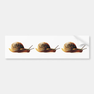 Snigel Bildekal
