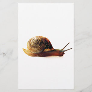 snigel brevpapper
