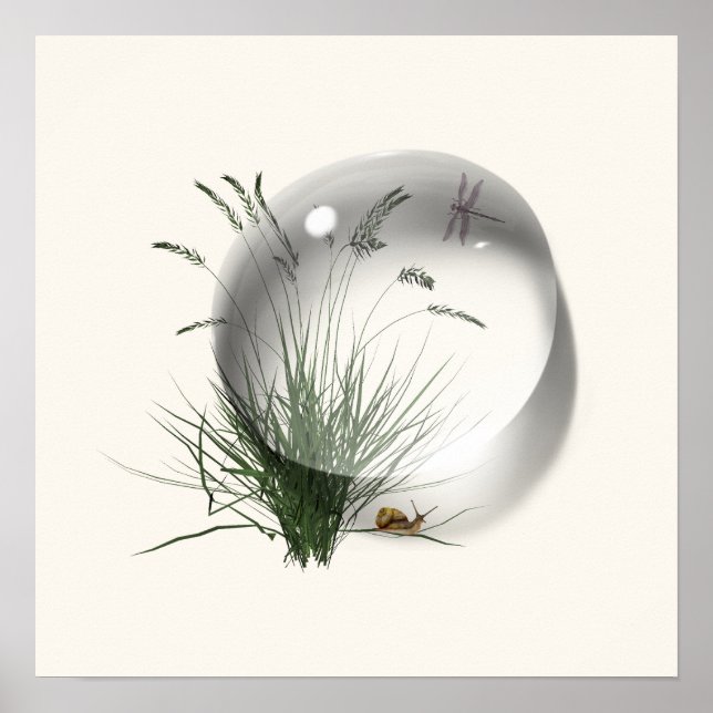 Snigel Djur på vattenytan Abstrakt  Poster (Framsidan)