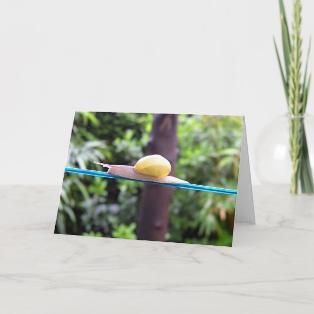 SNIGEL EQUILIBRIST-kort Kort (Framsida)