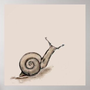 Snigel, fryst teckning poster