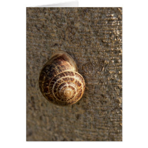 Snigel Hälsningskort