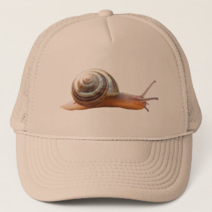 Snigel~-hatt Keps