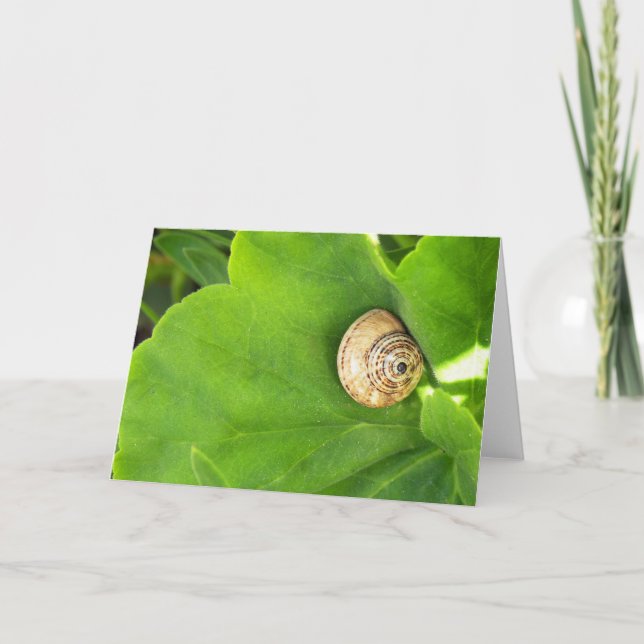 Snigel Helgkort (Framsida)