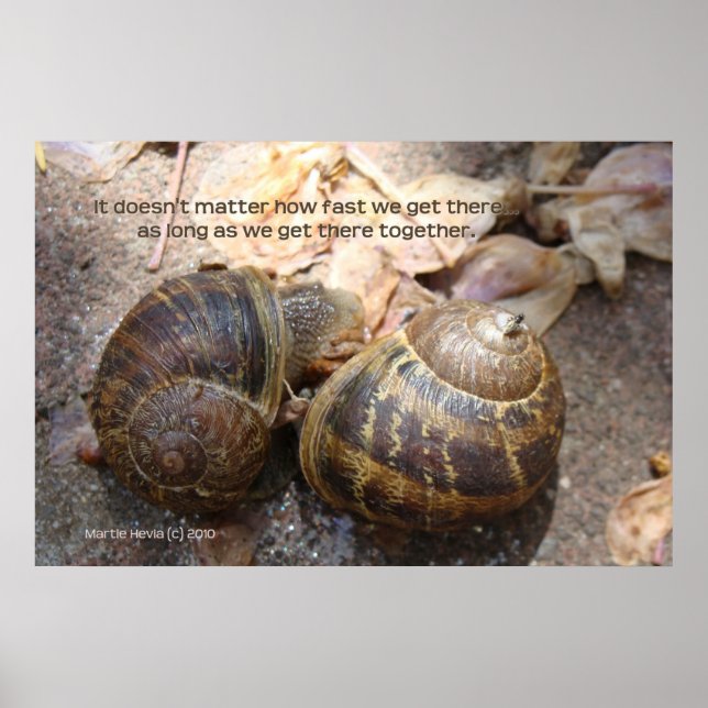 SNIGEL i KÄRLEK Poster (Framsidan)