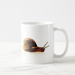 Snigel Kaffemugg