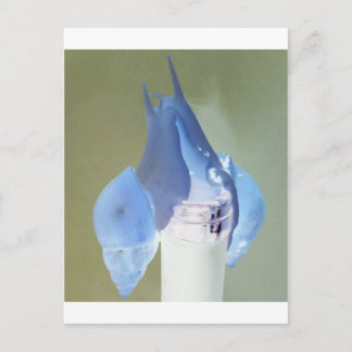 Snigel kärlek vykort