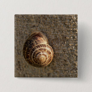 Snigel Knapp