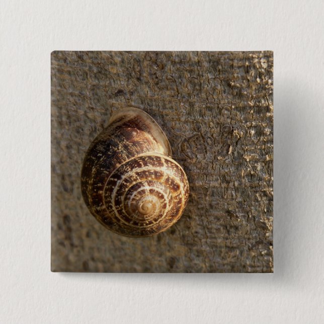 Snigel Knapp (Framsida)