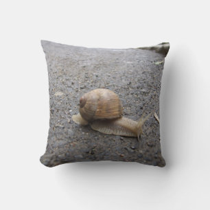 snigel kudde