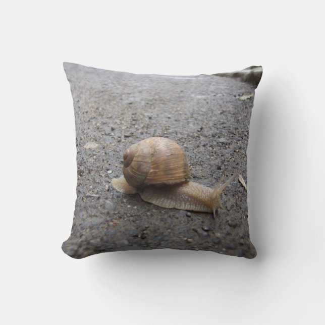 snigel kudde (Framsida)