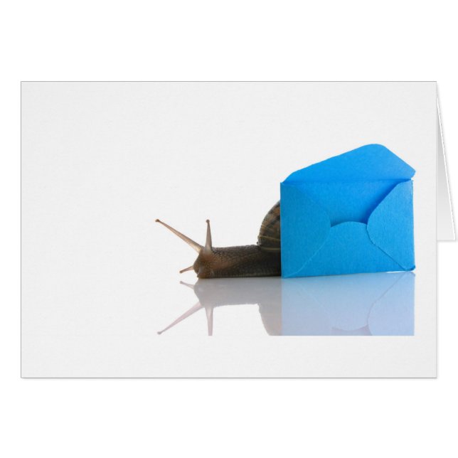 Snigel Mail Hälsningskort (Framsidan Horizontal)