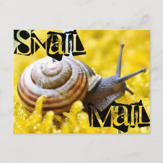 Snigel Mail Vykort