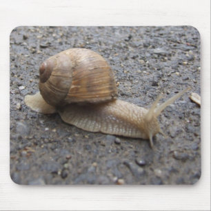 snigel musmatta
