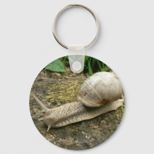 Snigel Nyckelring